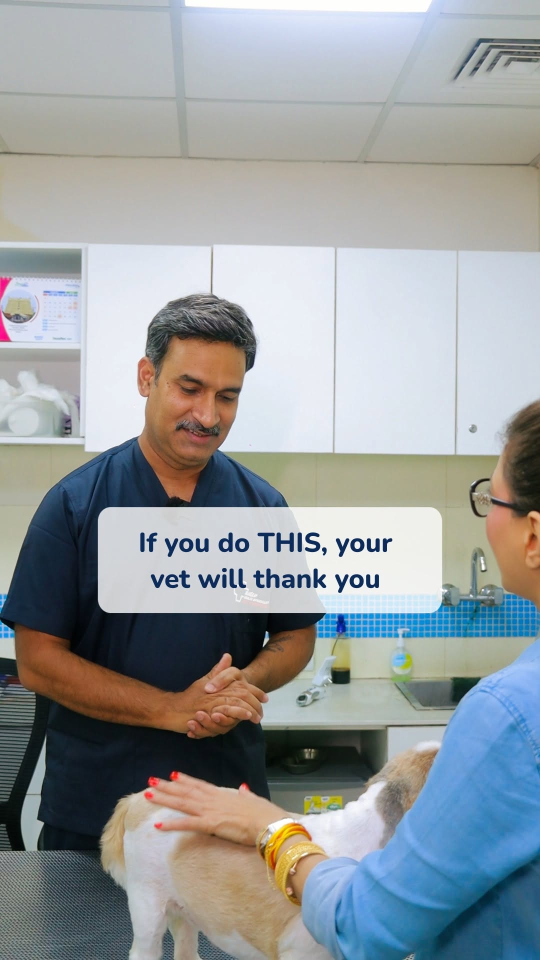 Your vet loves caring for your pet and these simple habits make it even easier! 🐾