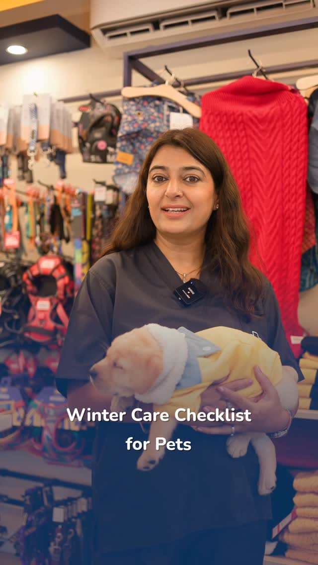 Your winter pet-care checklist is here!