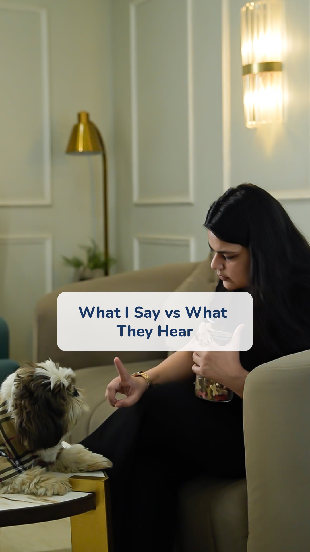 “What I say: ‘Don’t jump on the couch!’