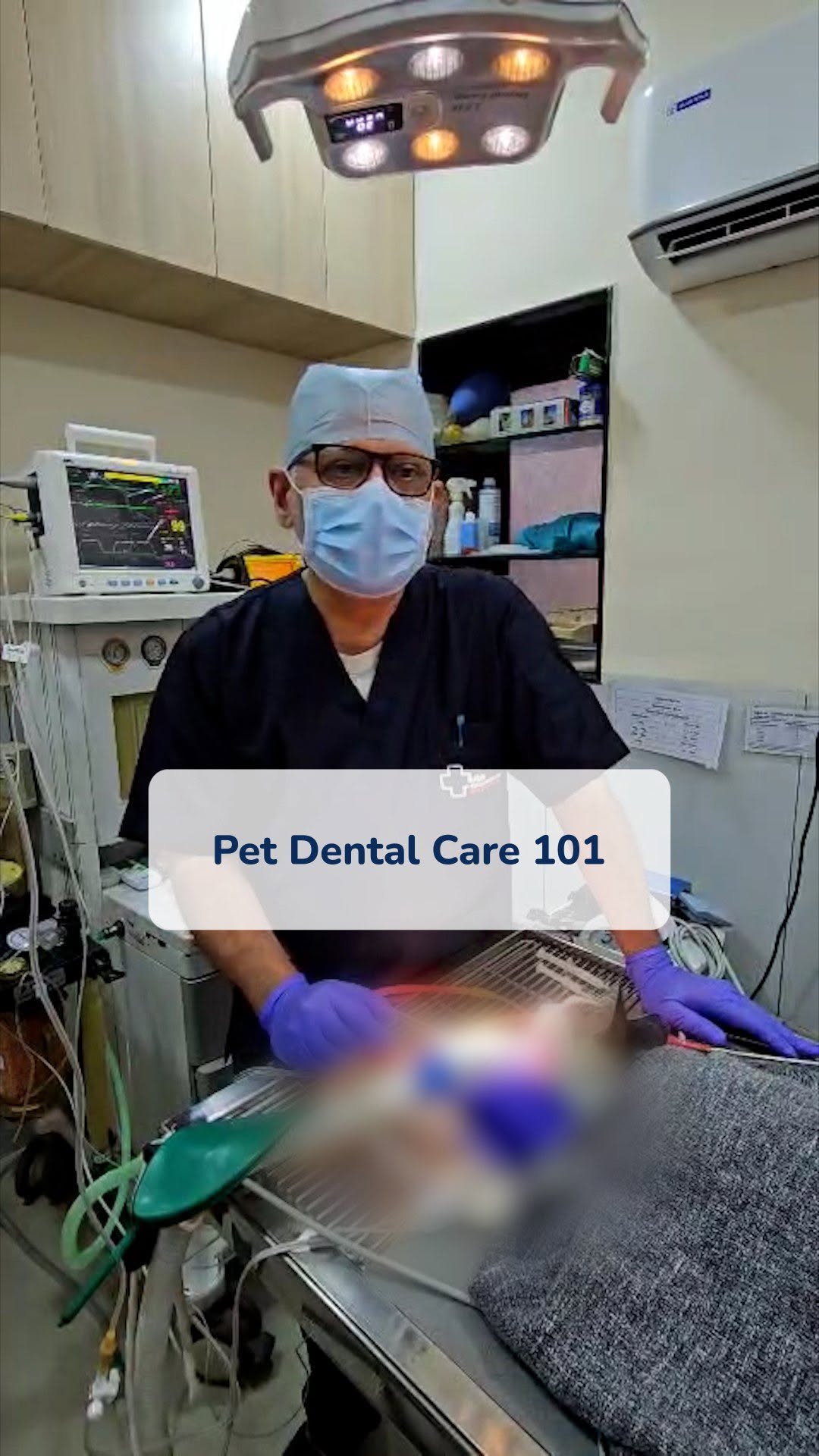 Healthy teeth, happy pets!