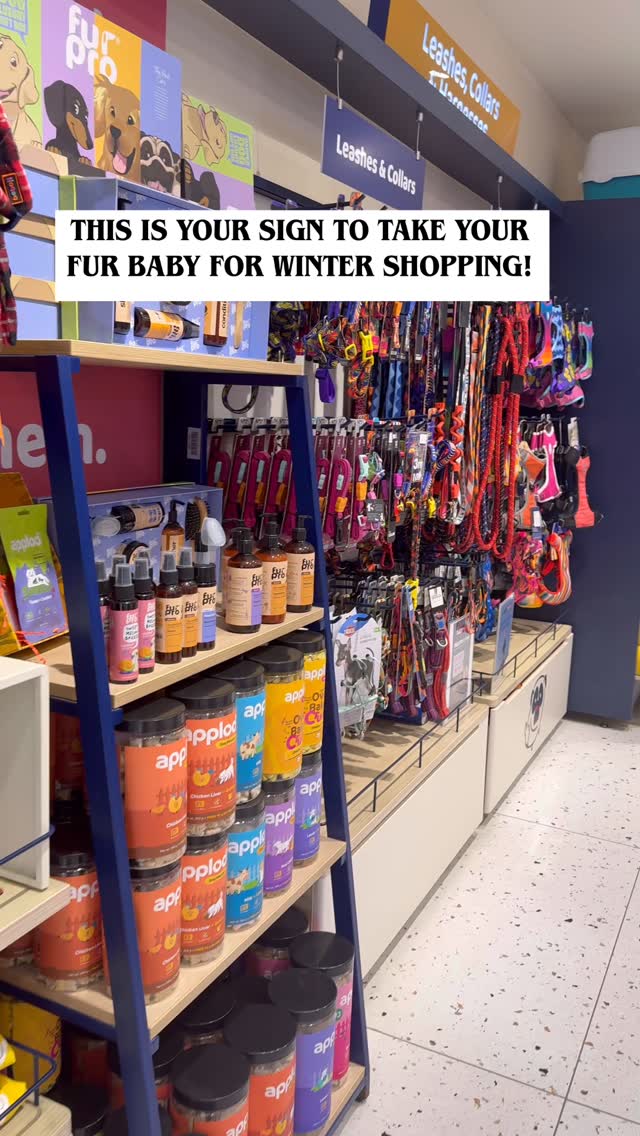 Winter magic starts with warm paws❄️🤍