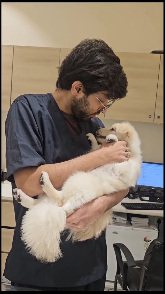 Winter magic starts with warm paws❄️🤍