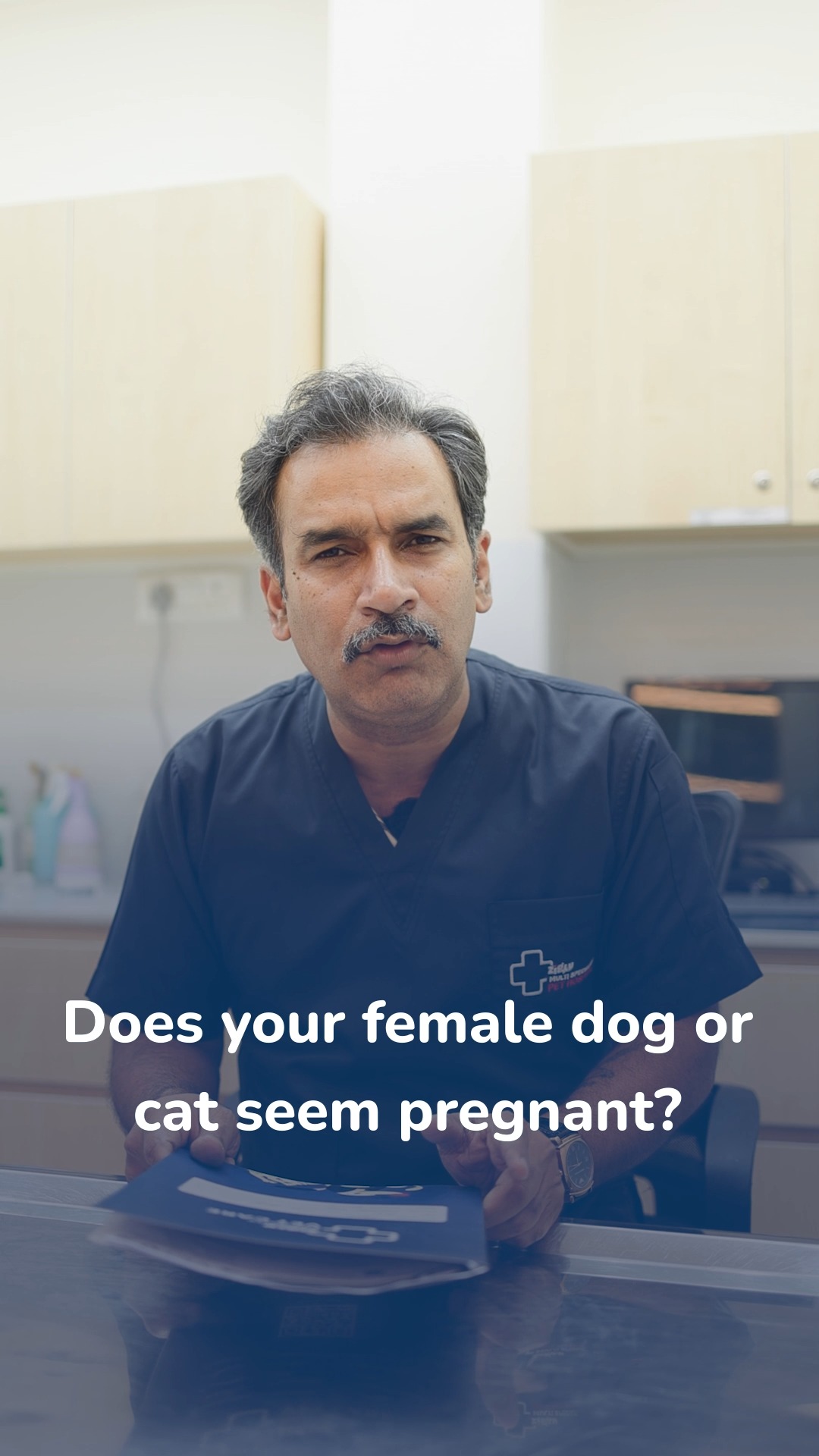 Think your pet looks pregnant?