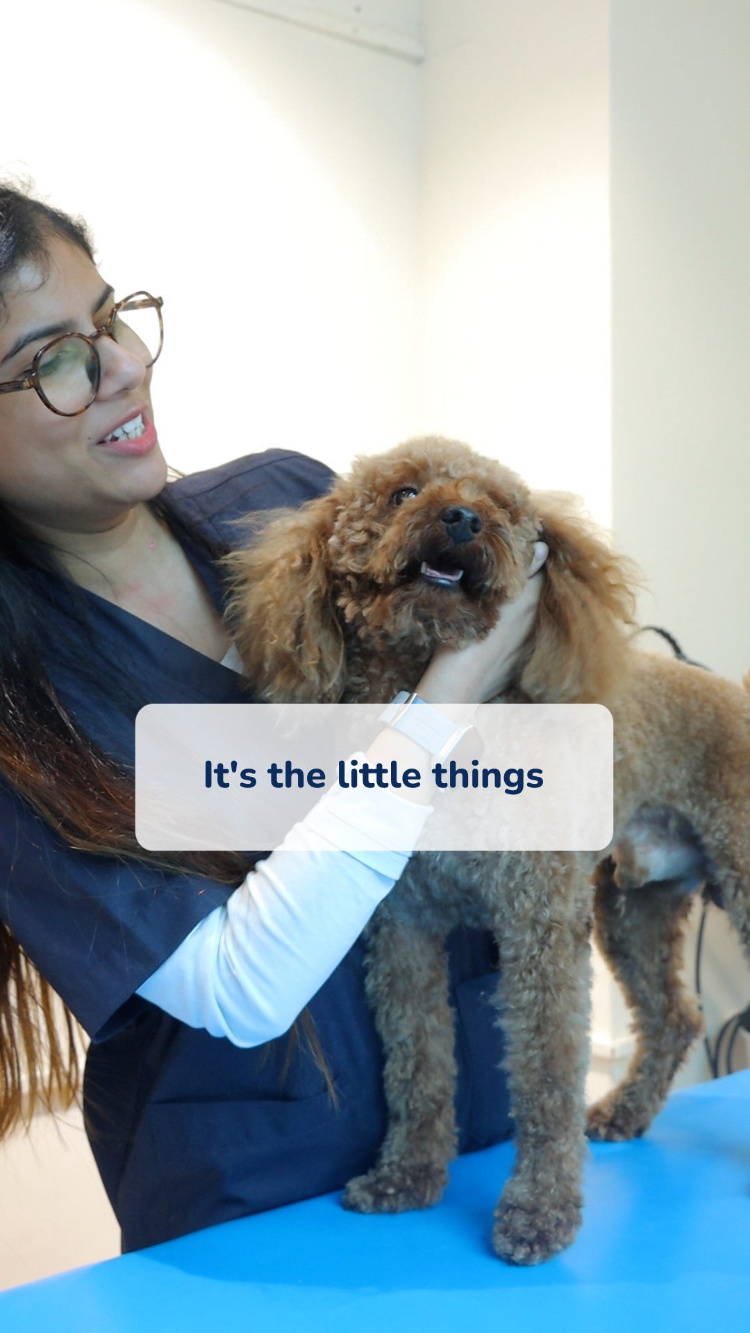 The little things that make up for a whole world of our happiness & purpose!