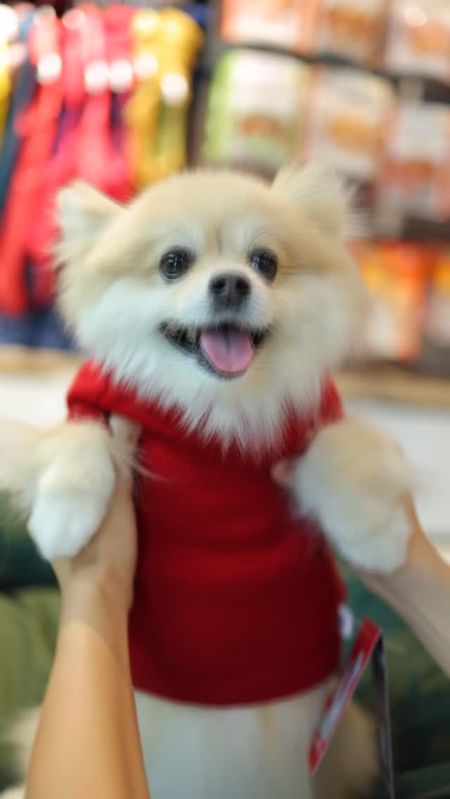 BRB: currently suffering from an overdose of cuteness! 🫣🥹