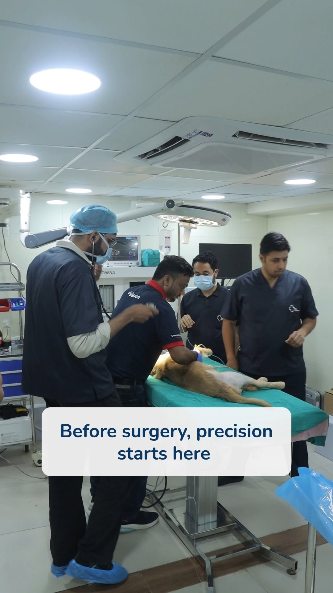 Safe surgeries start with smart diagnostics.