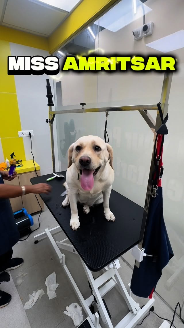 Because every pet deserves care