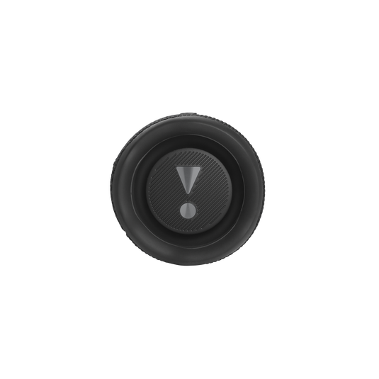 JBL Flip 6