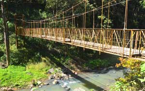 Coorg Honeymoon Packages