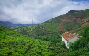 Ooty Honeymoon Packages
