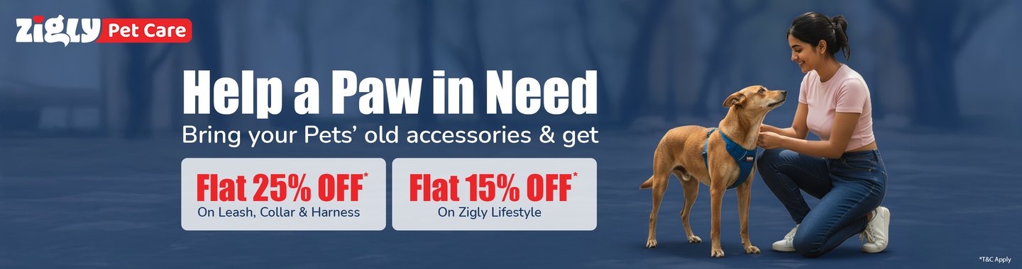 Zigly Pet Care - Vet Clinic, Pet Grooming & Pet Products