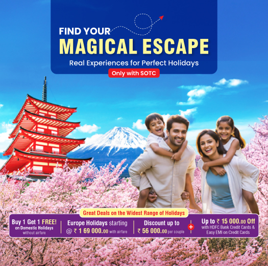 SOTC for Holidays-Preferred Agent