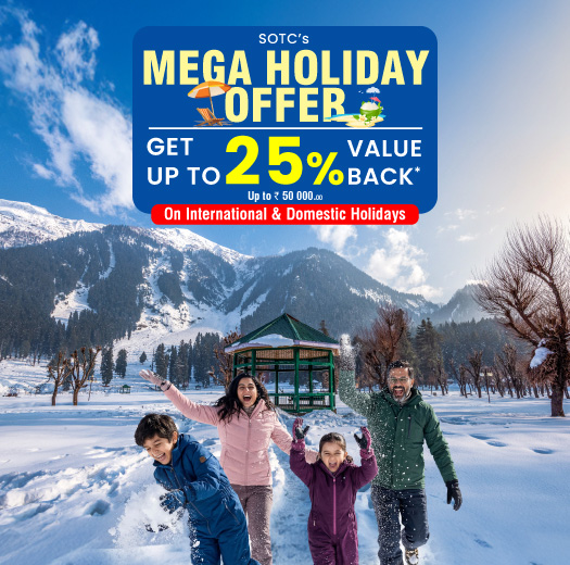 SOTC for Holidays-Preferred Agent