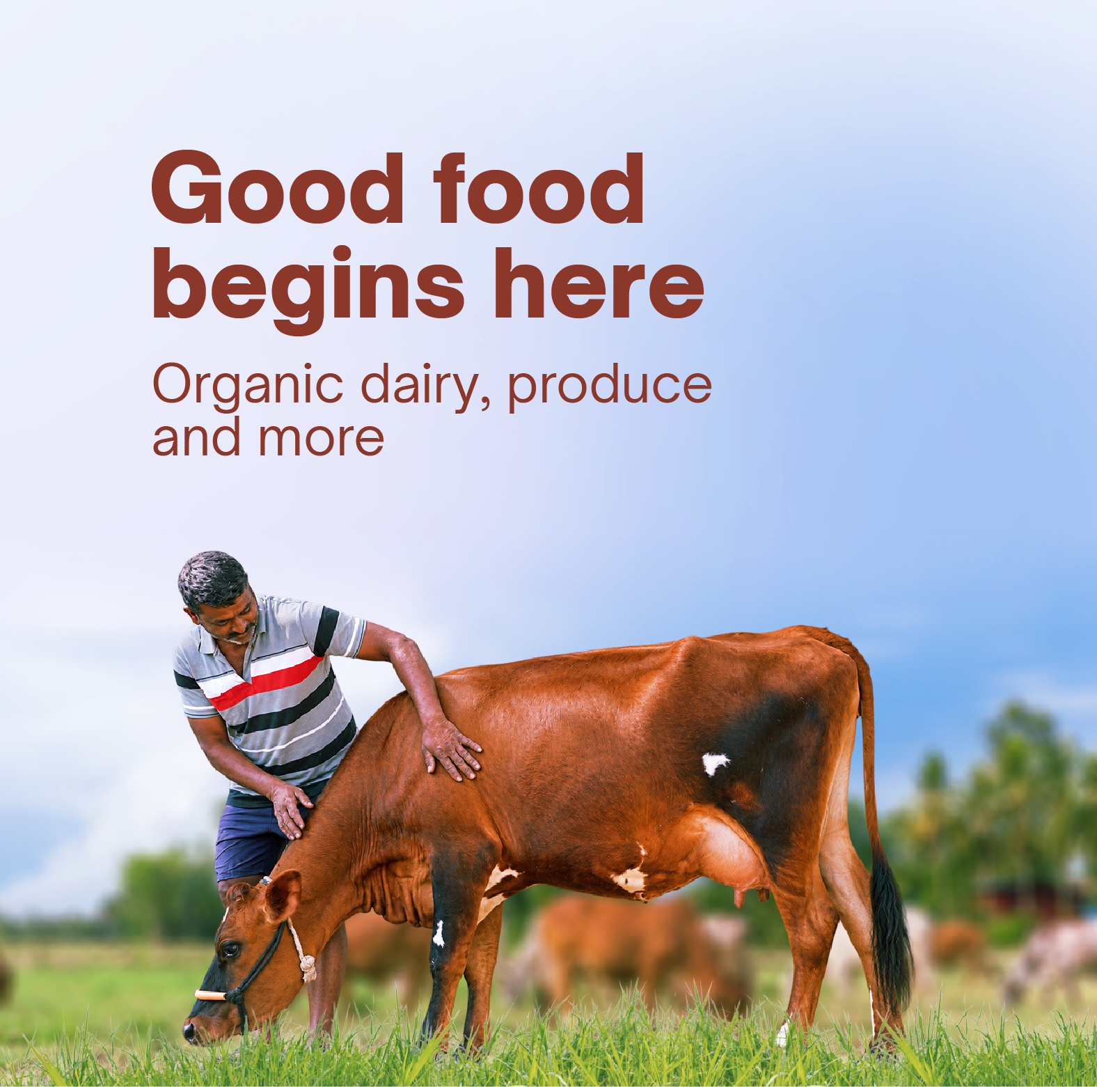 Akshayakalpa Organic Milk & Dairy | Aishwarya Super Market