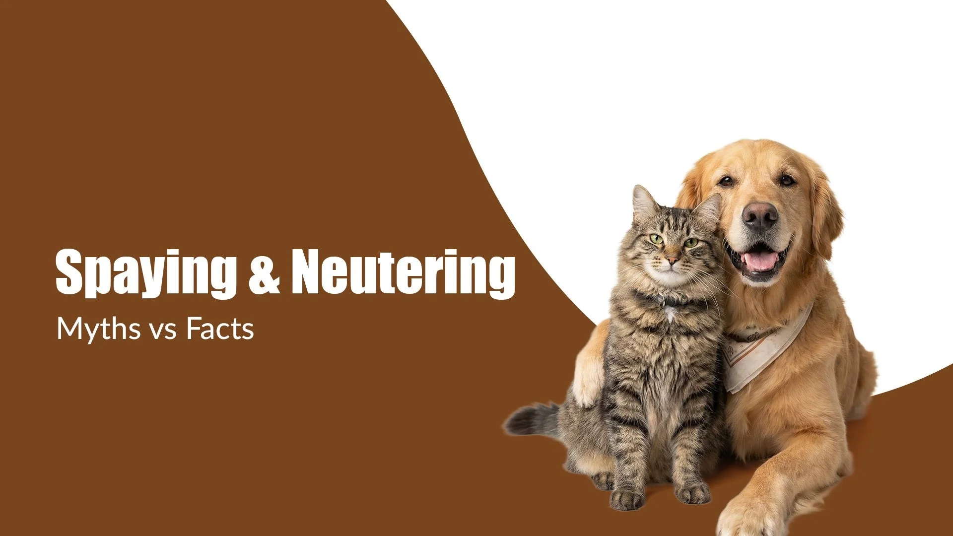 Spaying & Neutering: Myths vs Facts Every Pet Parent Should Know
