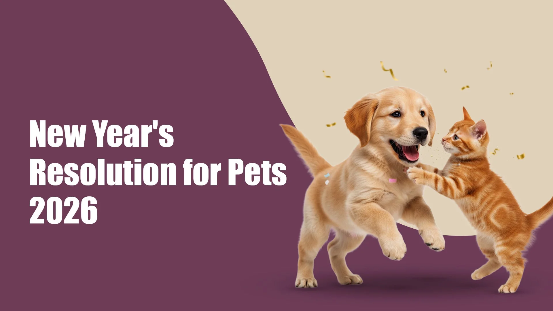 New Year’s Resolutions for Pets 2026: Simple, Practical Ways to Care Better in Kalyani Nagar, pune