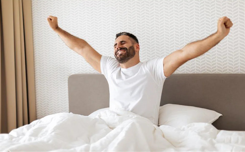 Symphonies Life Mattress