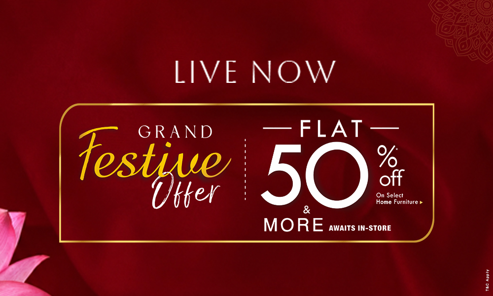 Grand Festive Offer – Flat 50% Off & More