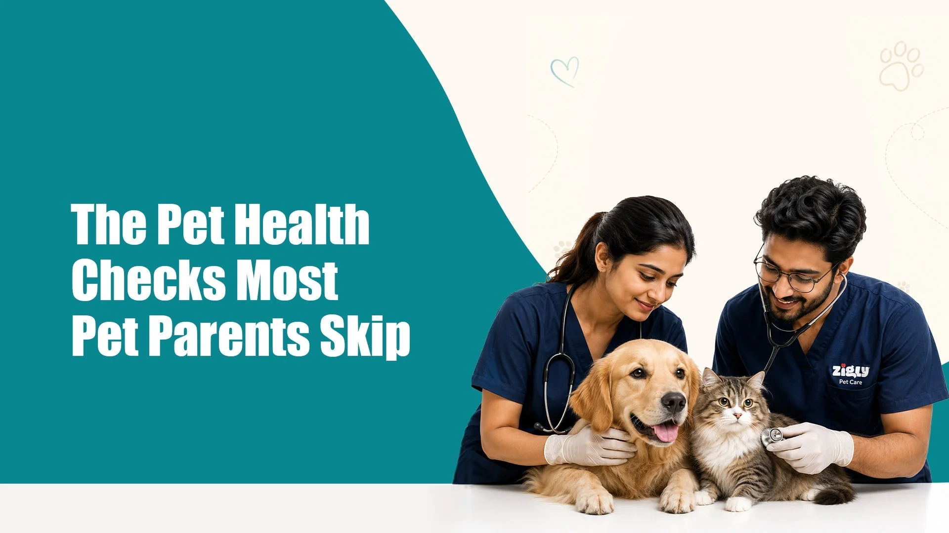 Pet Health Checks Every Pet Parent Should Prioritise in Sectors 47 and 49, gurugram Pet Health Checks Every Pet Parent Should Prioritise in Sectors 47 and 49, gurugram