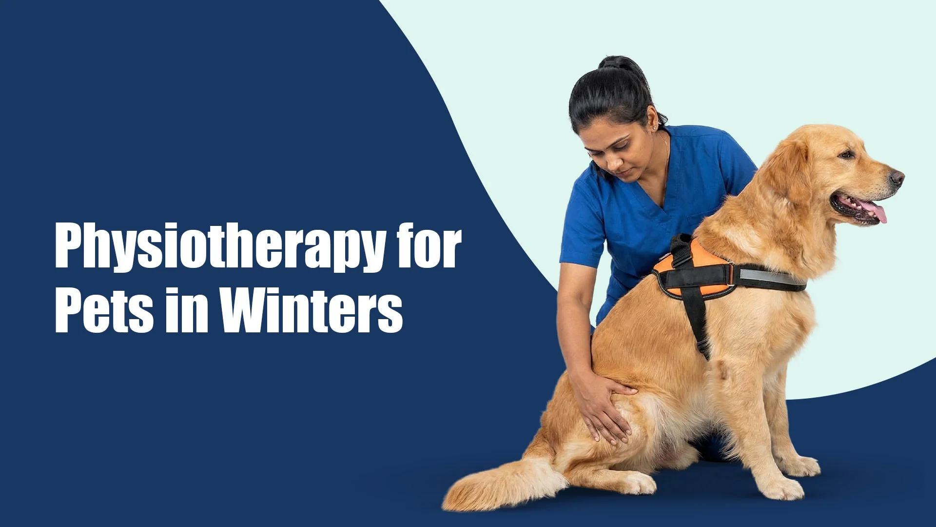 Physiotherapy for Pets in Winters: Why Cold Weather Demands Extra Joint Care in Jubilee Hills, hyderabad
