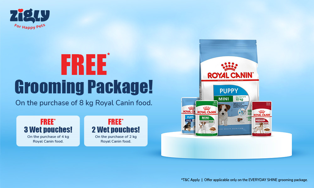 FREE Grooming Package!