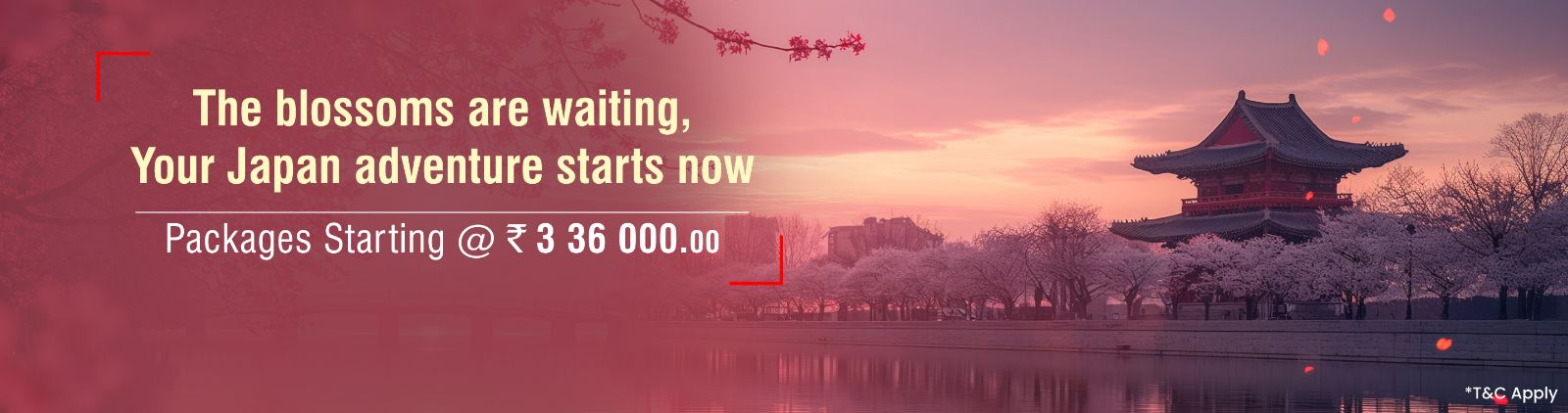 SOTC for Holidays SOTC for Holidays