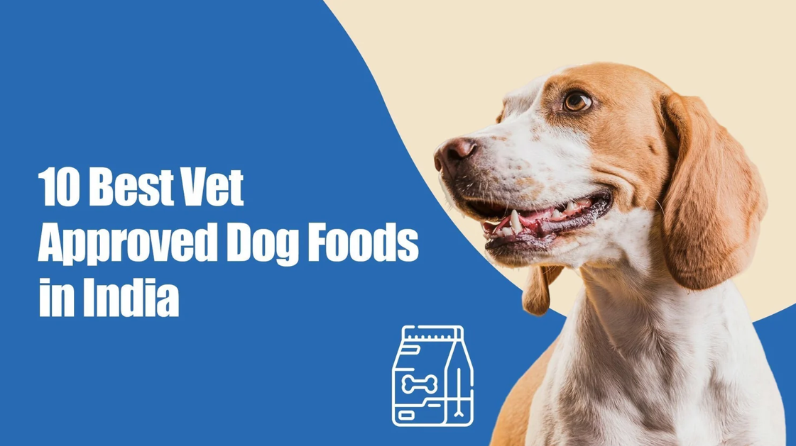 Top 10 Vet-Recommended Dog Foods in India (2025) | Zigly’s Expert Guide for Pet Parents