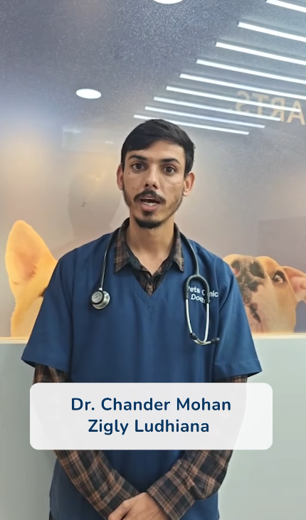 🐾 Hello, Ludhiana! Meet Dr. Chander Mohan!