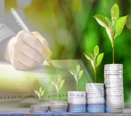 Govt. Schemes Category