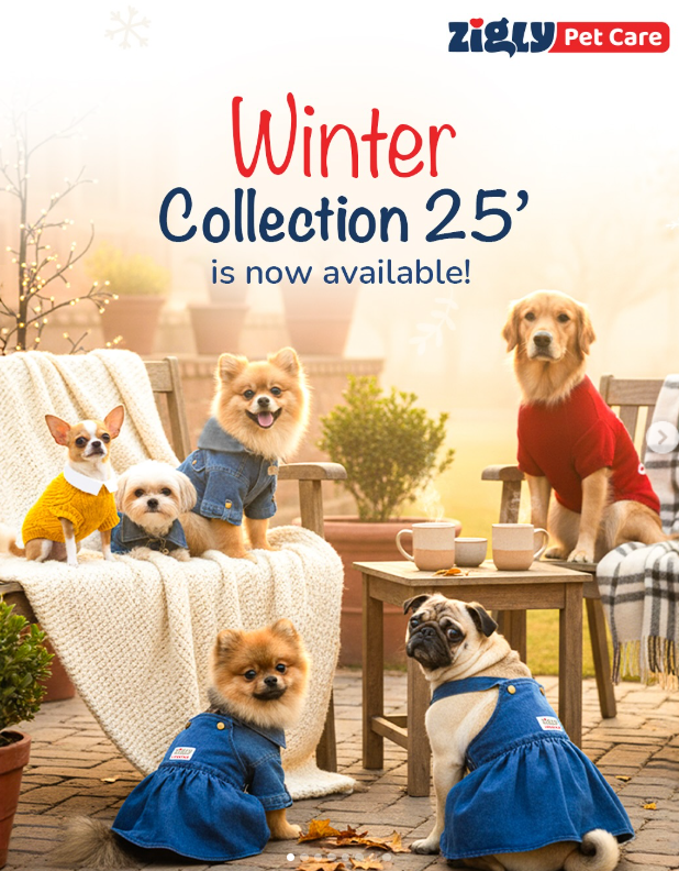 Snuggle season just got a stylish upgrade! ❄️💙