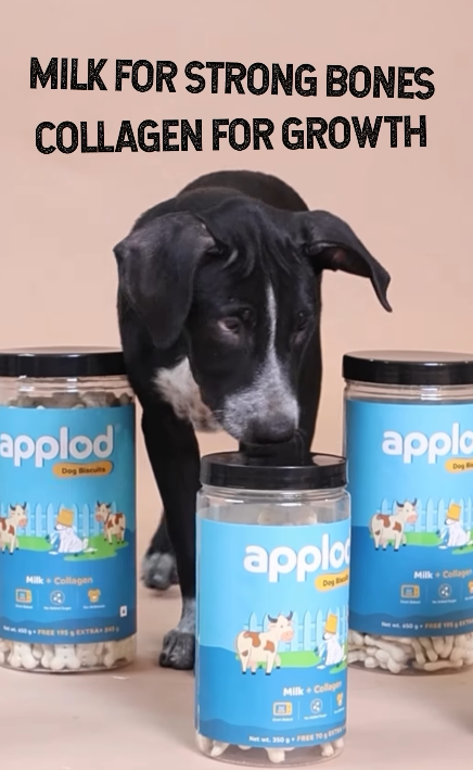 Guppy’s vibe? Milk moustache & biscuit crumbs everywhere. 🐶