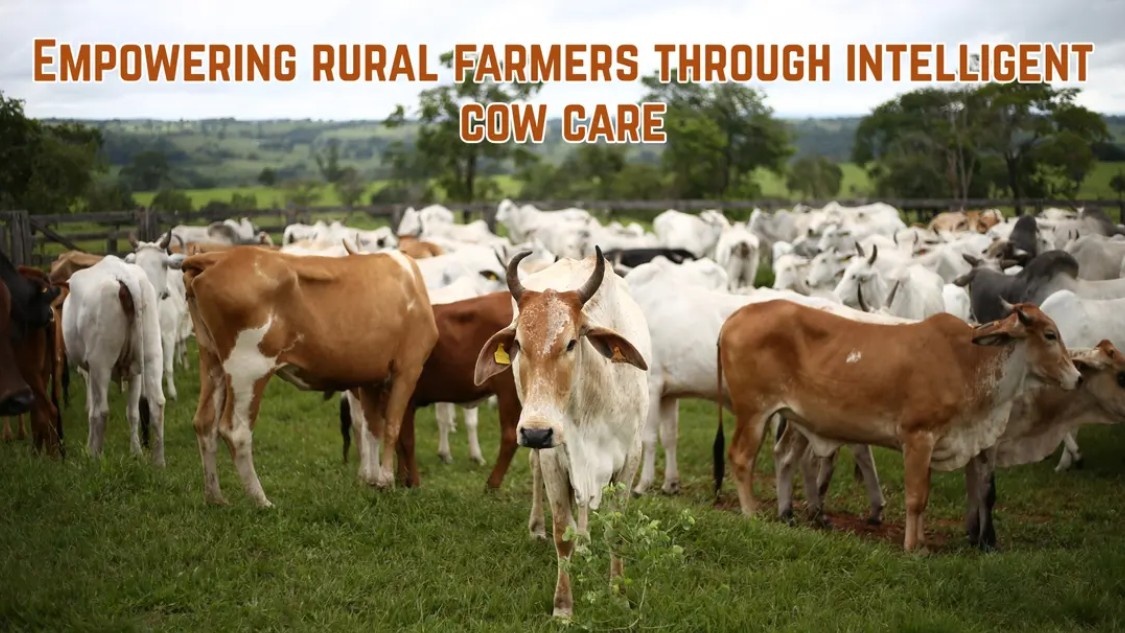 How Gau Swastha Is Changing Cow Care in Rural India How Gau Swastha Is Changing Cow Care in Rural India