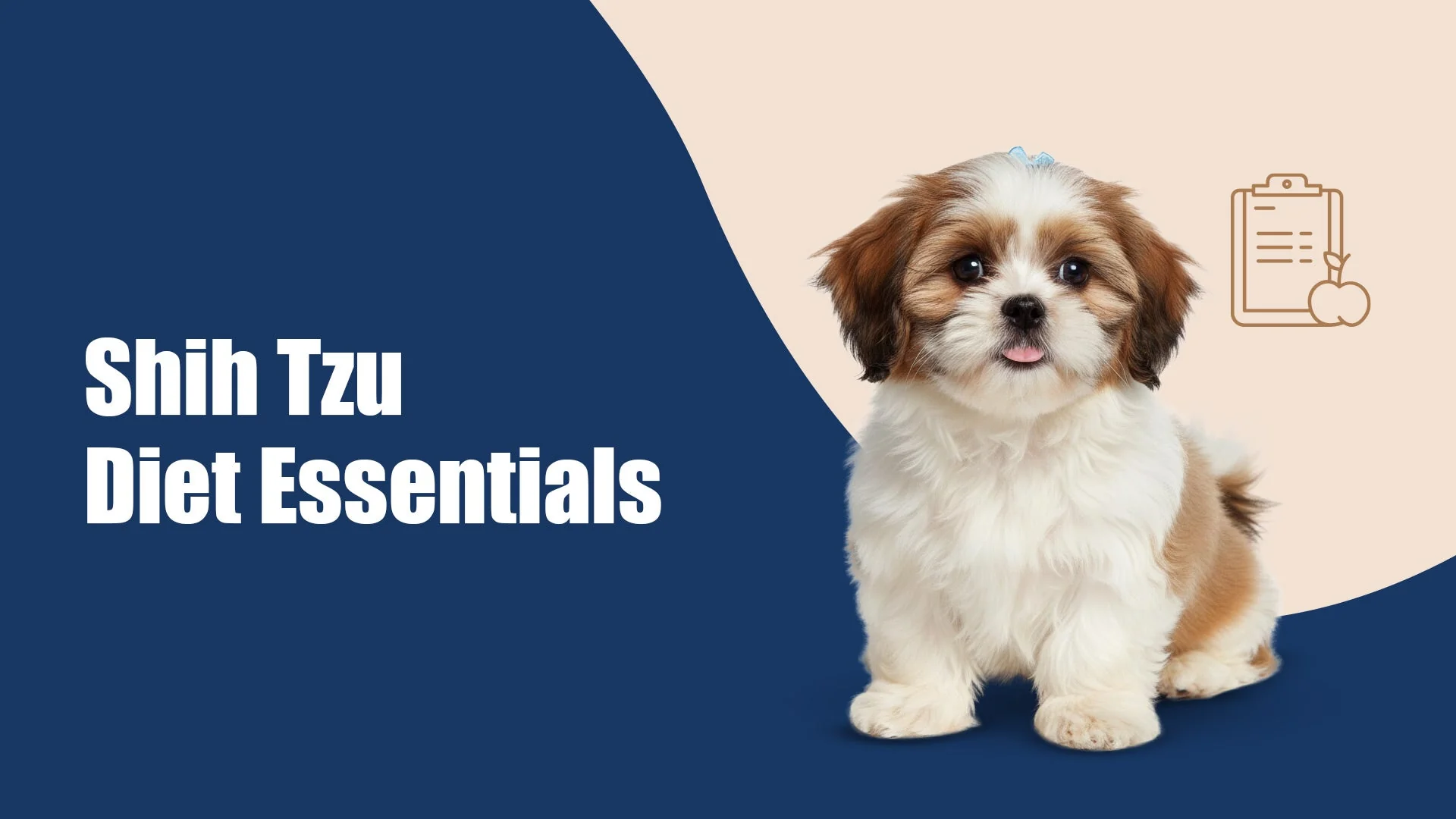 Shih Tzu Diet Essentials: Why Regular Dog Food Isn’t Enough in Defence Colonycity