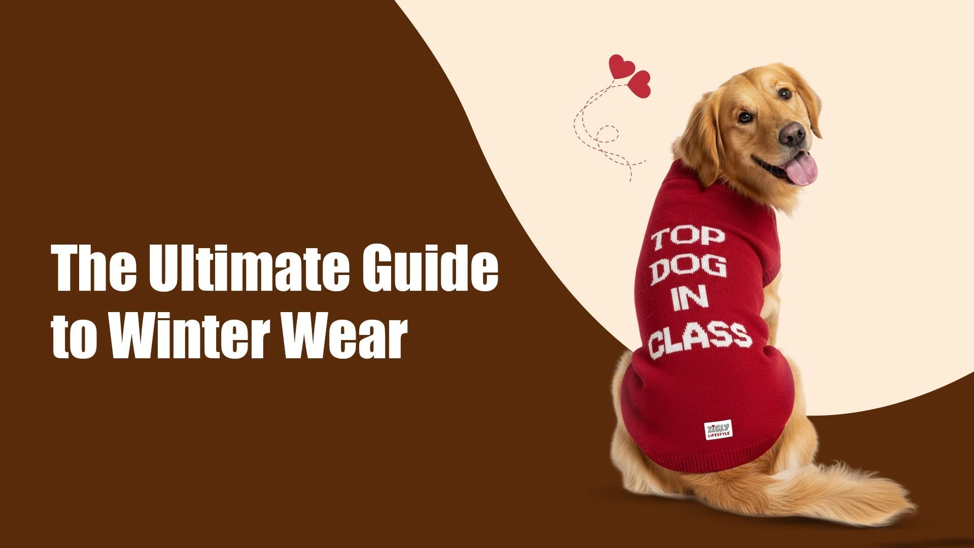 The Ultimate Guide to Winter Wear for Dogs: Keep Your Pet Warm, Safe & Stylish This Season