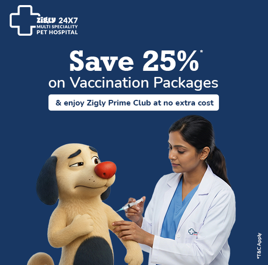 Zigly Pet Care - Vet Clinic, Pet Grooming & Pet Products