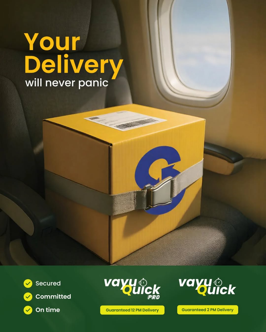 Vayuquick and Vayuquick pro - Next day - By Air delivery - Time definite delivery