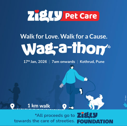 Zigly Pet Care - Vet Clinic, Pet Grooming & Pet Products