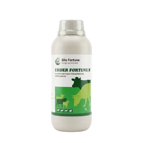 Udder Fortune H