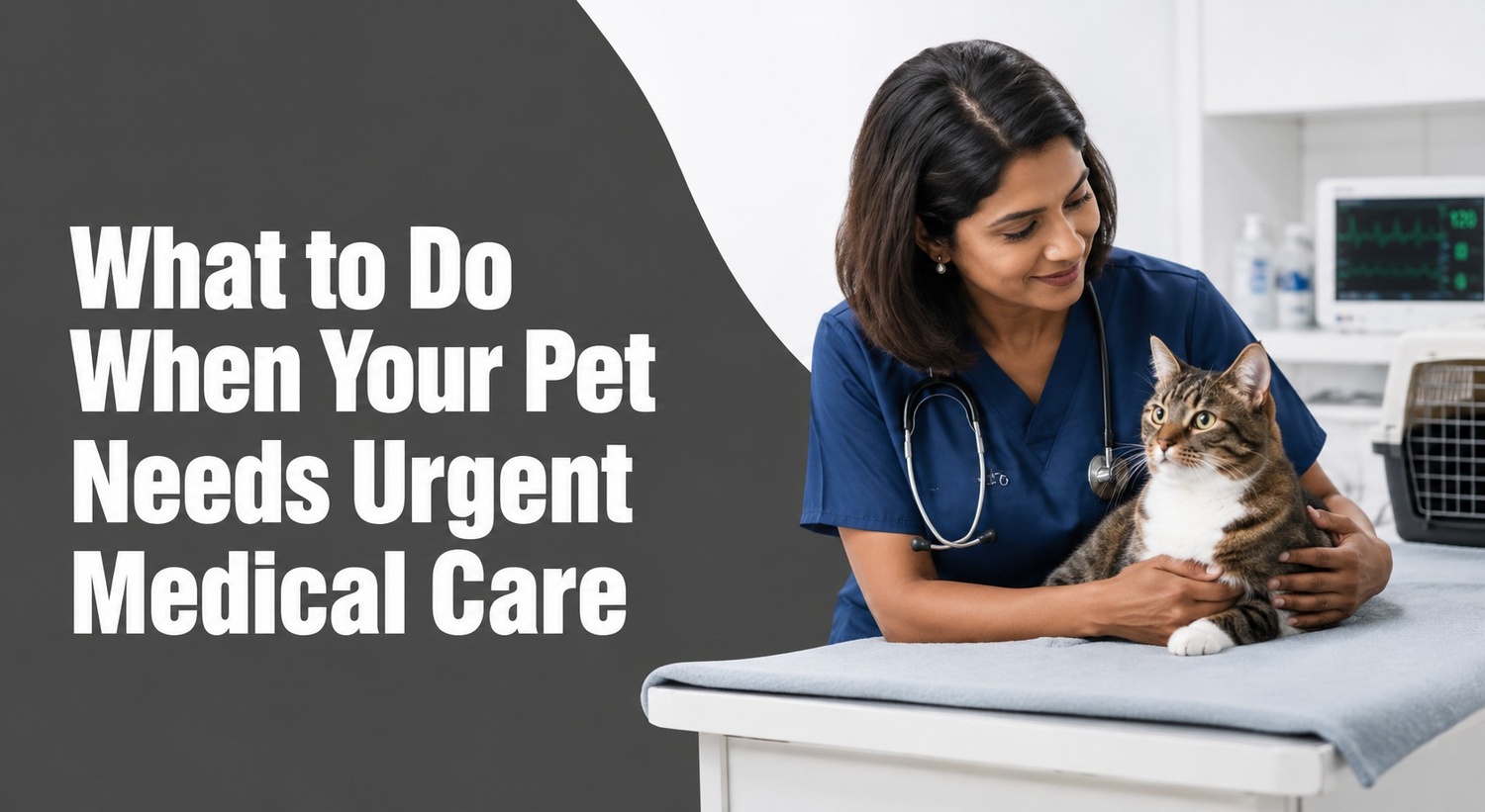 Emergency Vet Near Me in Sectors 47 and 49, gurugram: What to Do When Your Pet Needs Urgent Medical Care