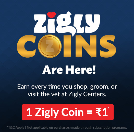 Zigly - Vet Clinic, Pet Grooming & Pet Products