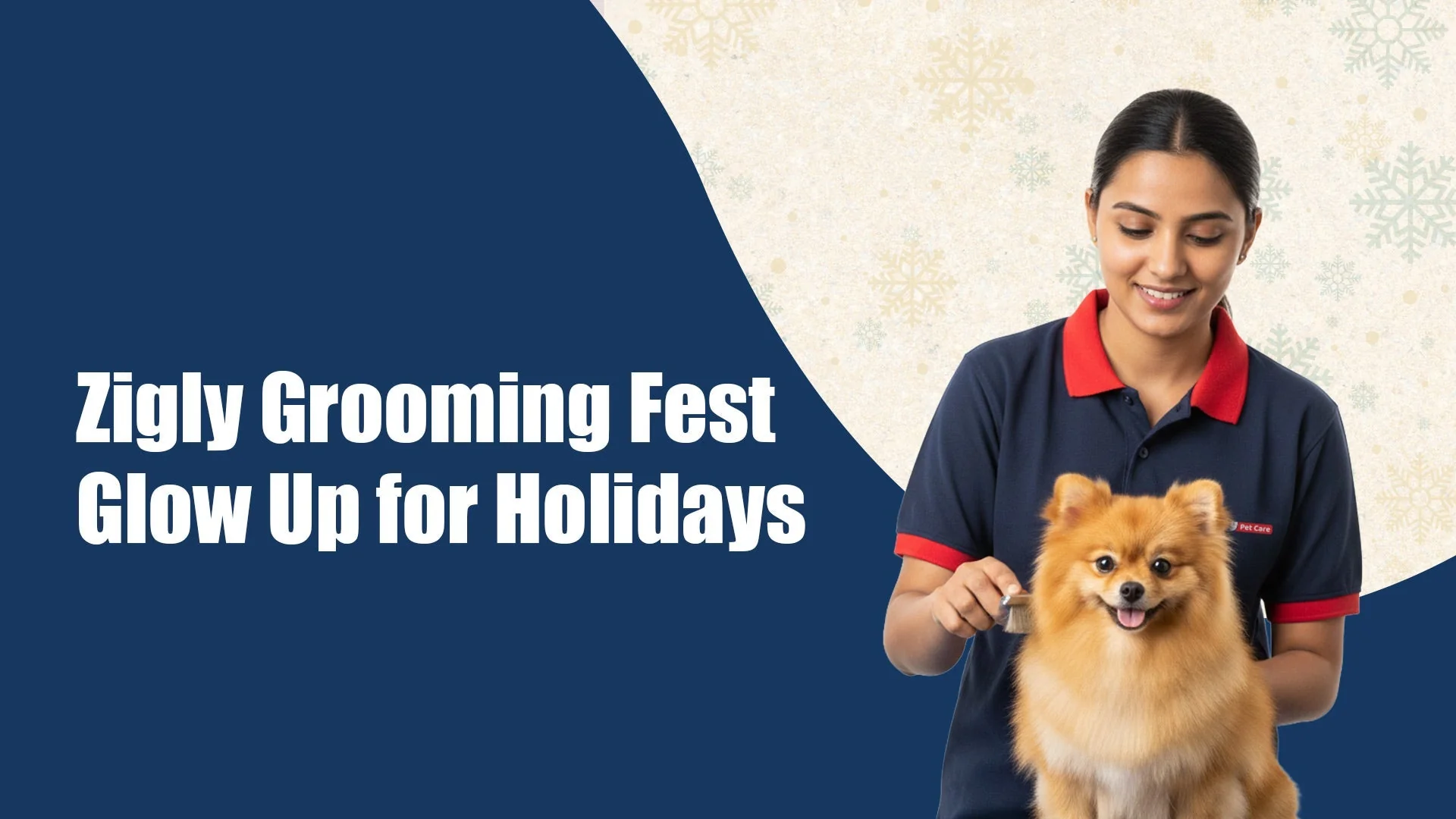 Zigly Winter Grooming Fest in Kalyani Nagar, pune: 19th–22nd December