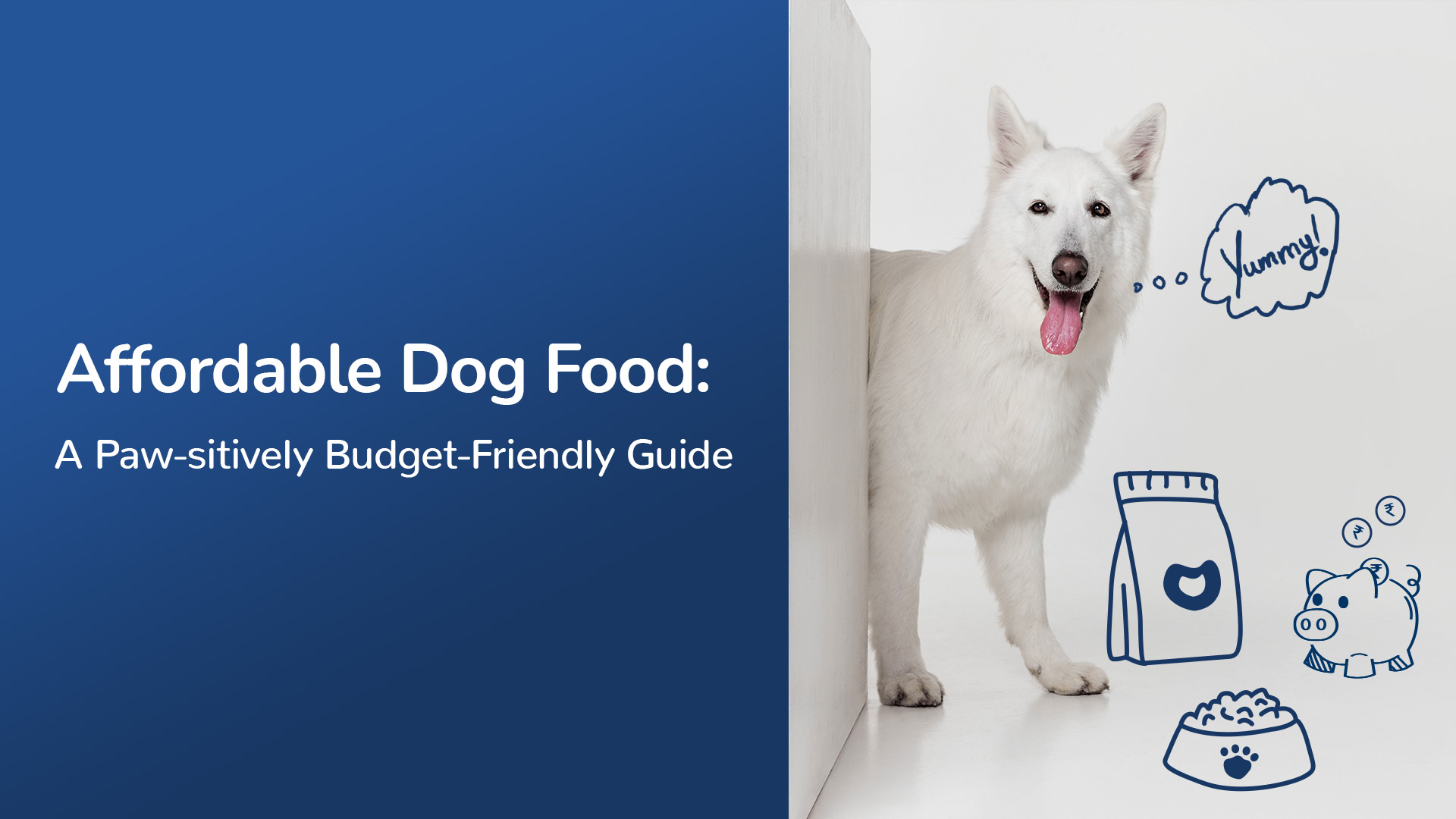 How to Choose Affordable Dog Food: Tips, Brands & Recipes | Visit us for Affordable Dog Food at your nearest Pet Store - Zigly in HSR Layout, Bengaluru
