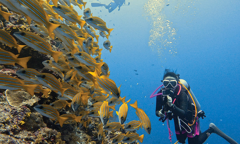 Andaman & Nicobar – Island Escapes with Thomas Cook India