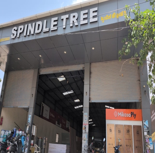 Spindle Tree Plyboards | Jivanjor Authorized Partners