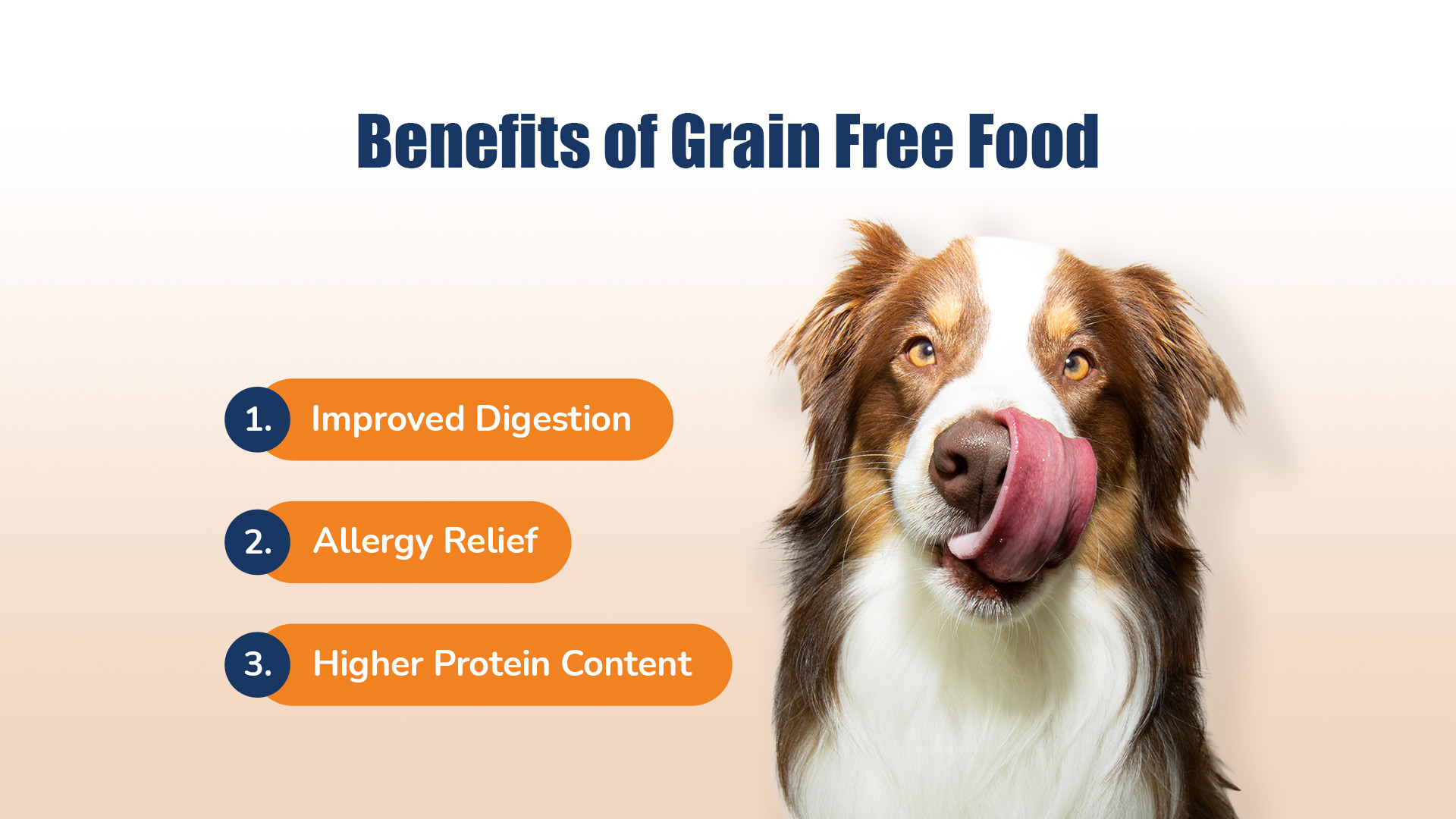 Grain-Free Diet for Dogs: Benefits, Drawbacks, and Choosing the Right Food  | Available at Zigly Pet Shop in Utrathiya, zirakpur