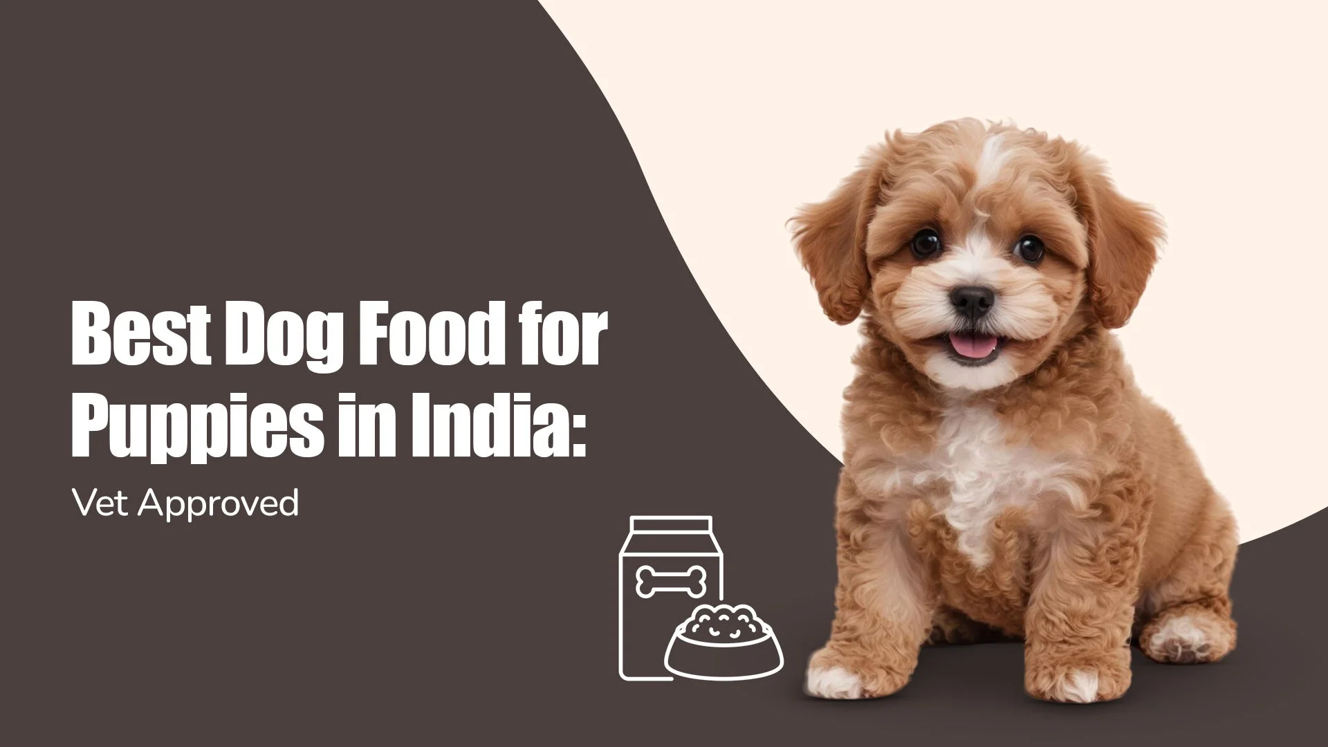 Ensure Healthy Growth: Vet-Recommended Puppy Food Guide by Zigly in Scheme No 54, indore (2025)