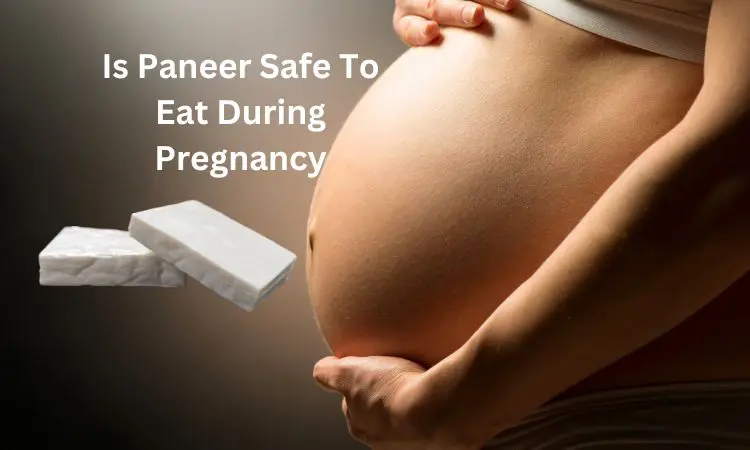 Paneer During Pregnancy- Safe or not?