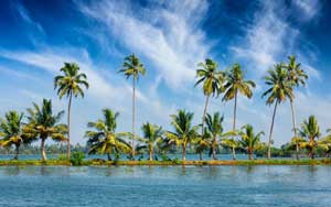 Kerala Honeymoon Packages