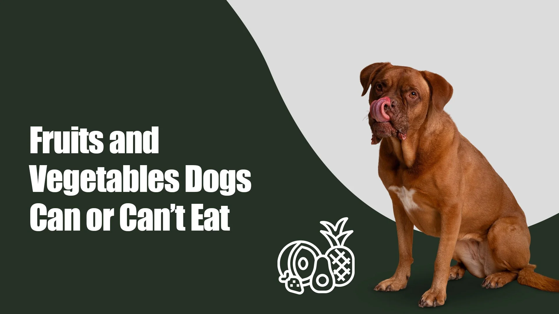 Healthy Treats or Hidden Risks? Fruits & Vegetables for Dogs – Zigly Pet Care Guide in Utrathiya, zirakpur