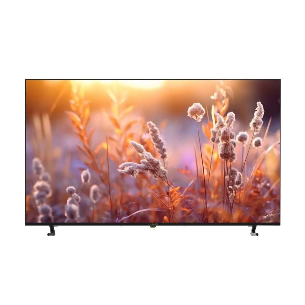 LED Televisions